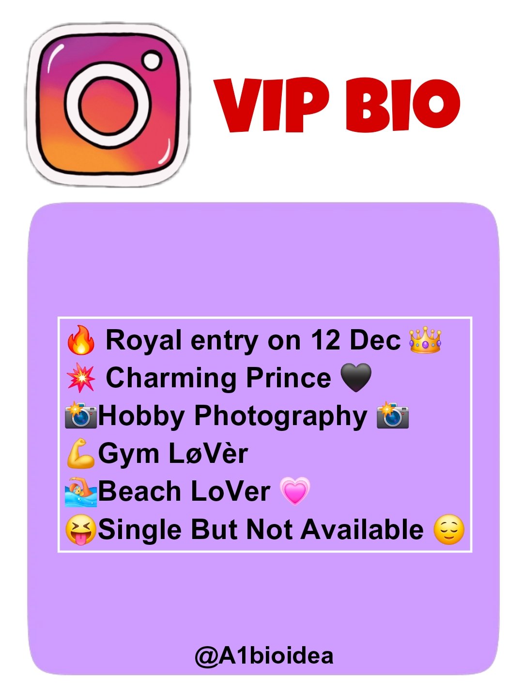 Instagram Bio in Stylish Font