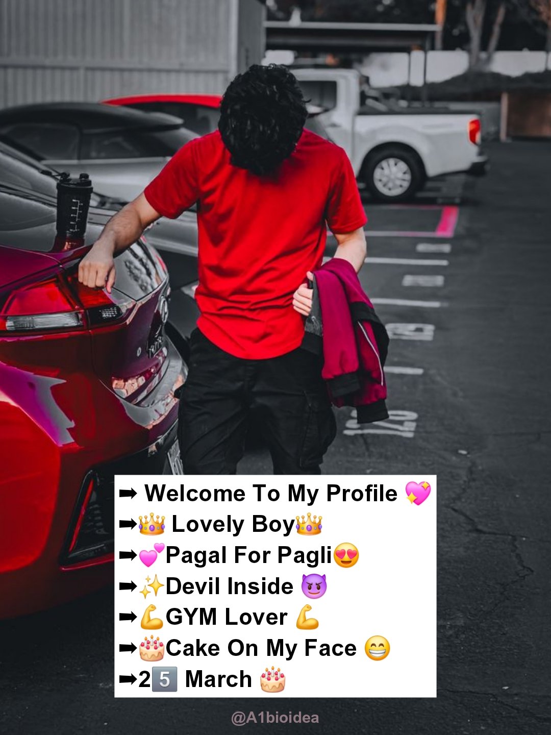 Instagram VIP Bio For Boys