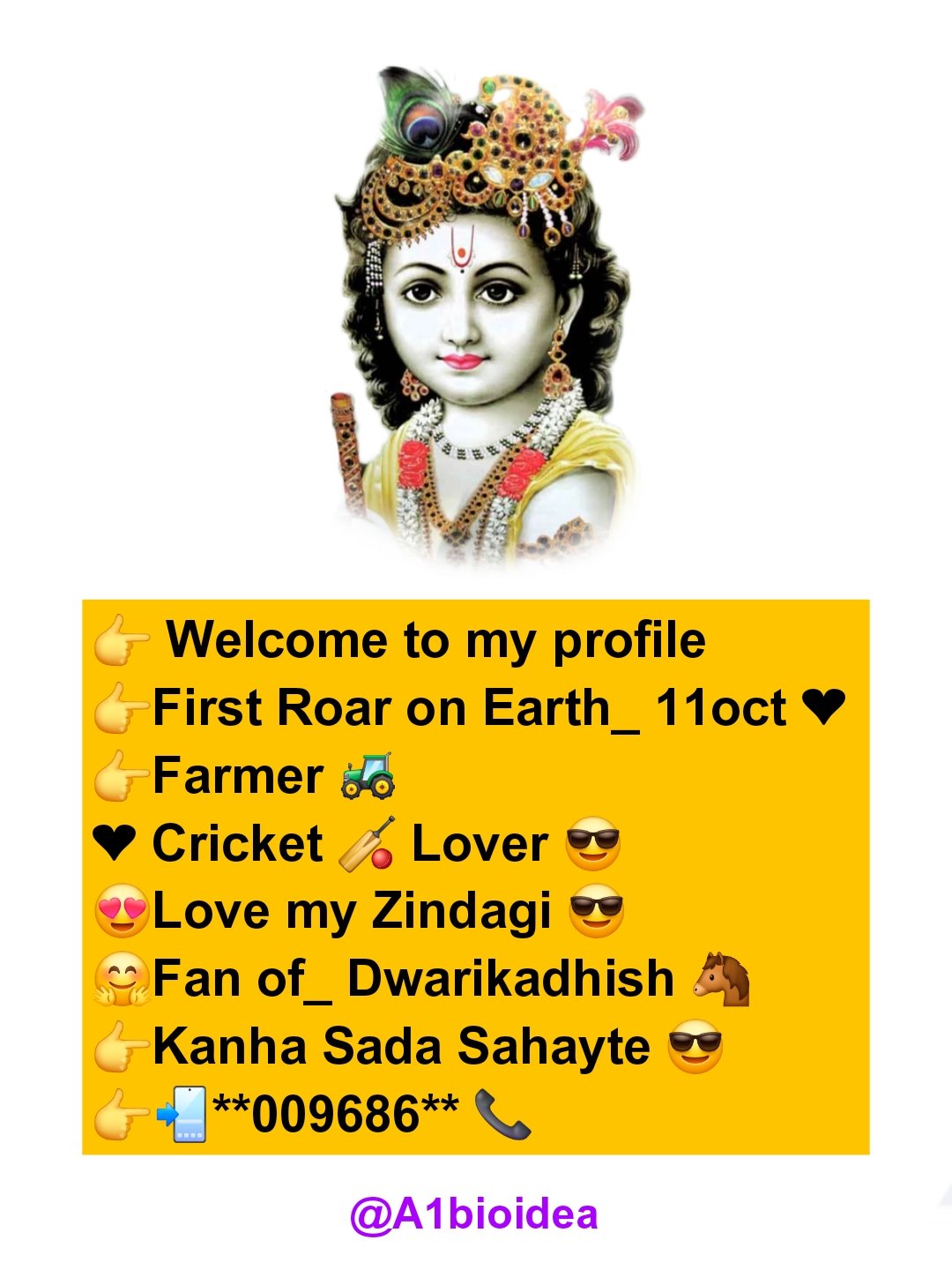 Instagram Bio Idea कृष्ण सदा सहायते