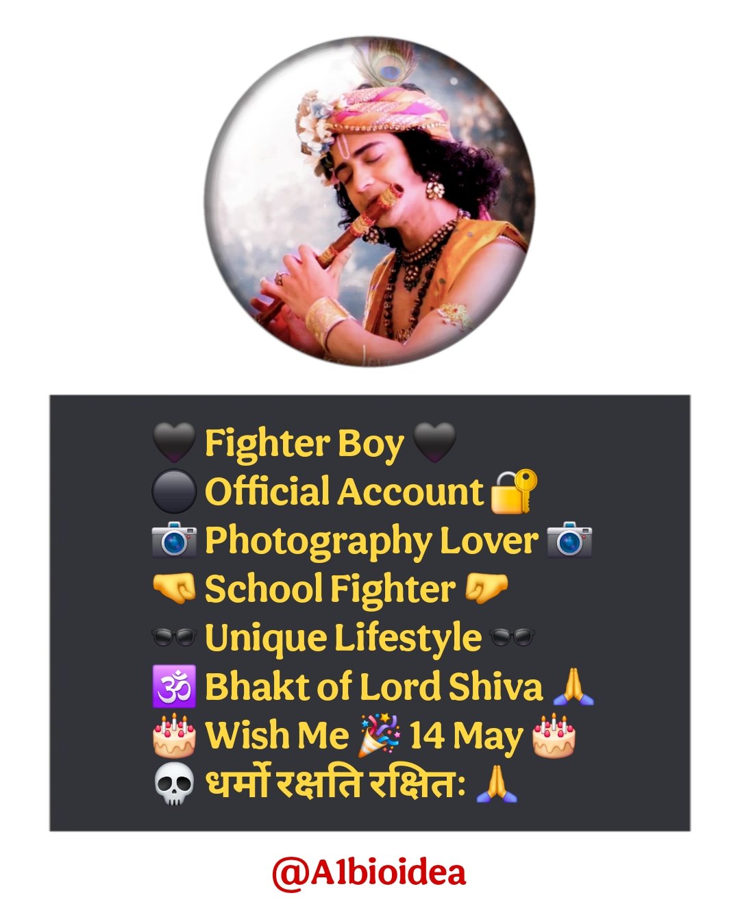 धर्मो रक्षति रक्षितः Bio For Instagram Attitude